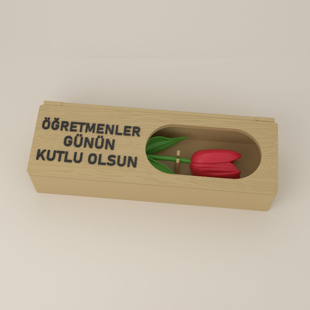 Çiçek kutusu, pencerede kırmızı lale
