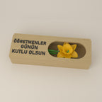 Çiçek kutusu, pencerede sarı nergis