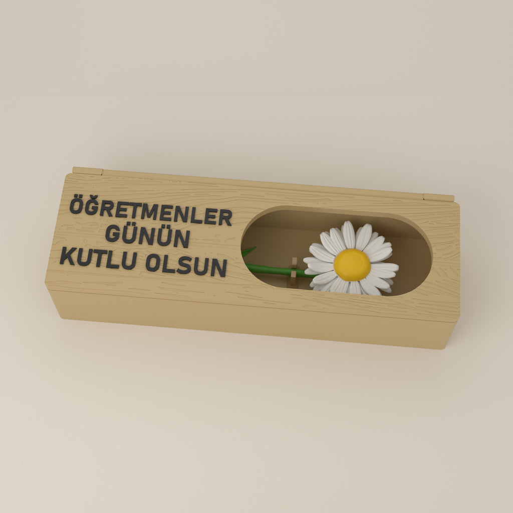 Çiçek kutusu, pencerede beyaz papatya
