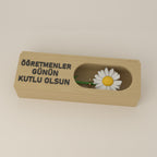 Çiçek kutusu, pencerede beyaz papatya