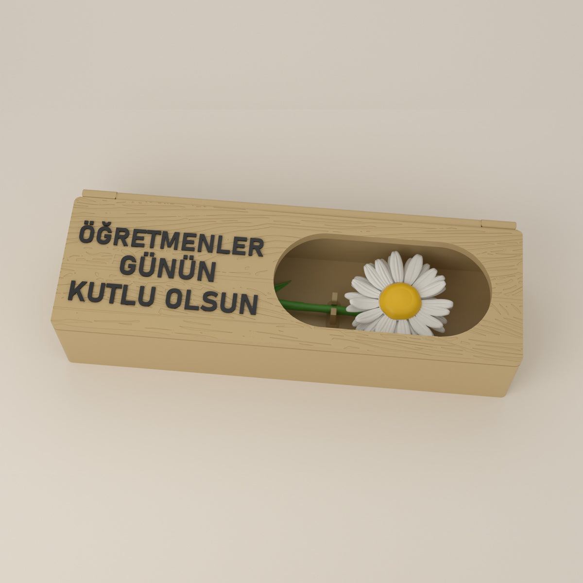 Çiçek kutusu, pencerede beyaz papatya